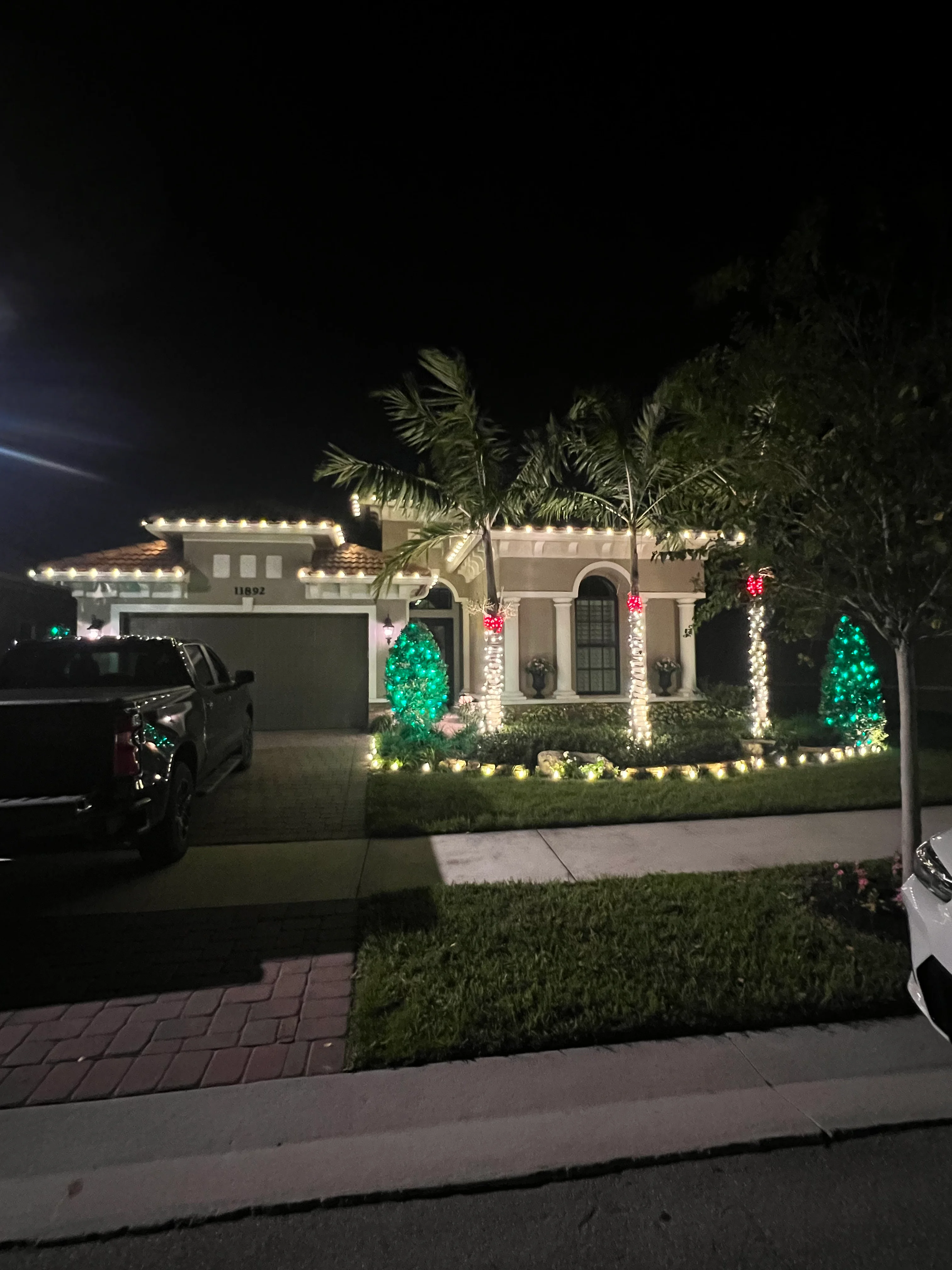 House with green LED topiary lighting, warm white roofline and palm trees, with red accent lights