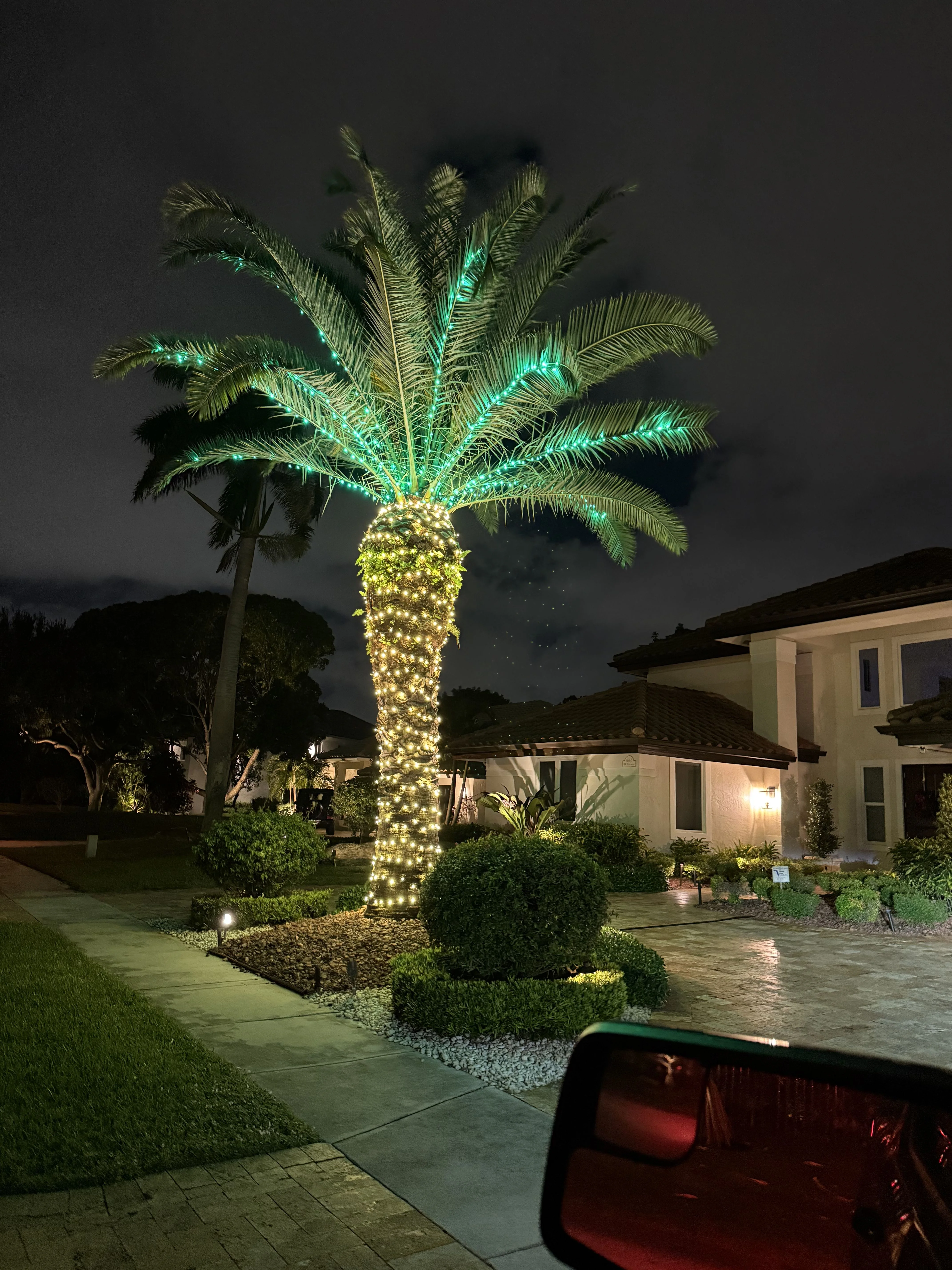 Stunning palm tree with green LED fronds and warm white trunk lighting showcasing detailed technique