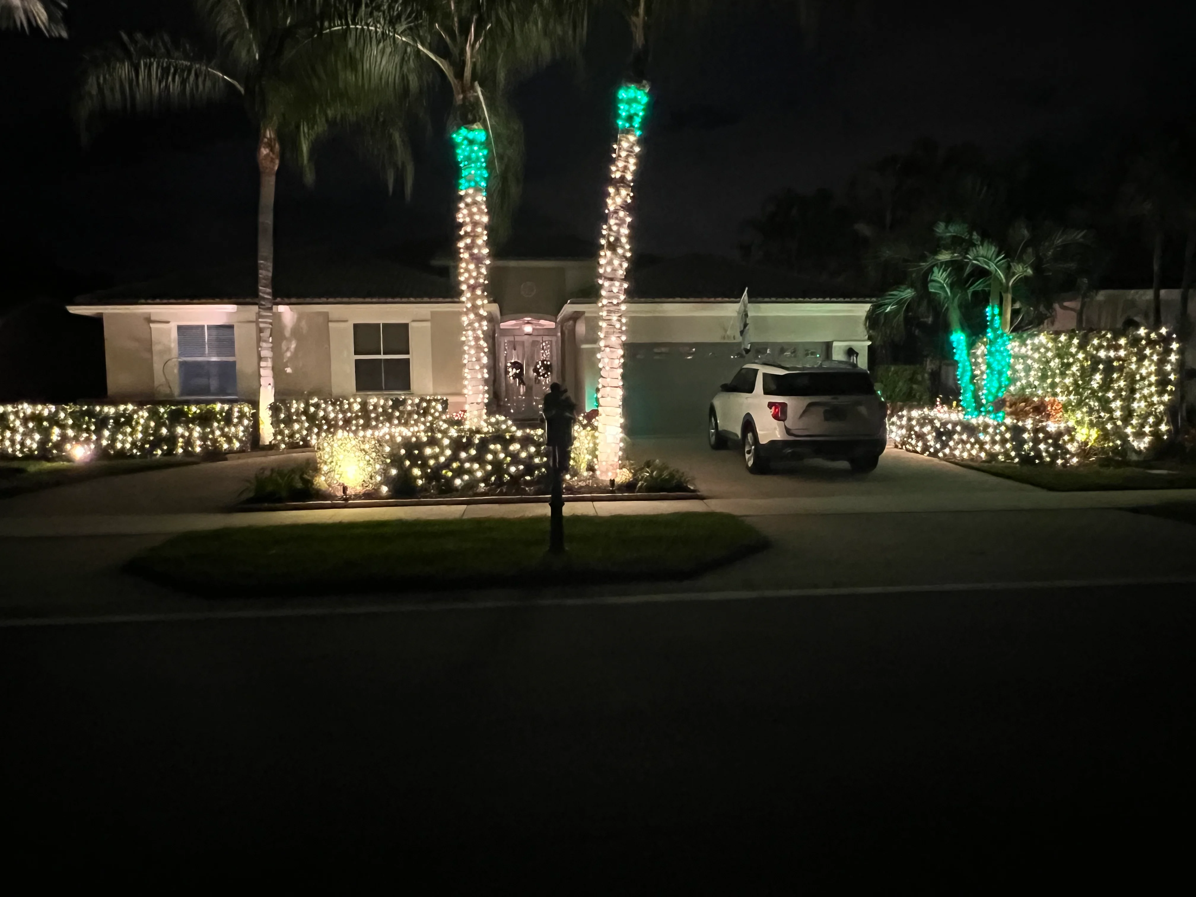 Single-story house with green LED palm tree lighting and warm white landscaping