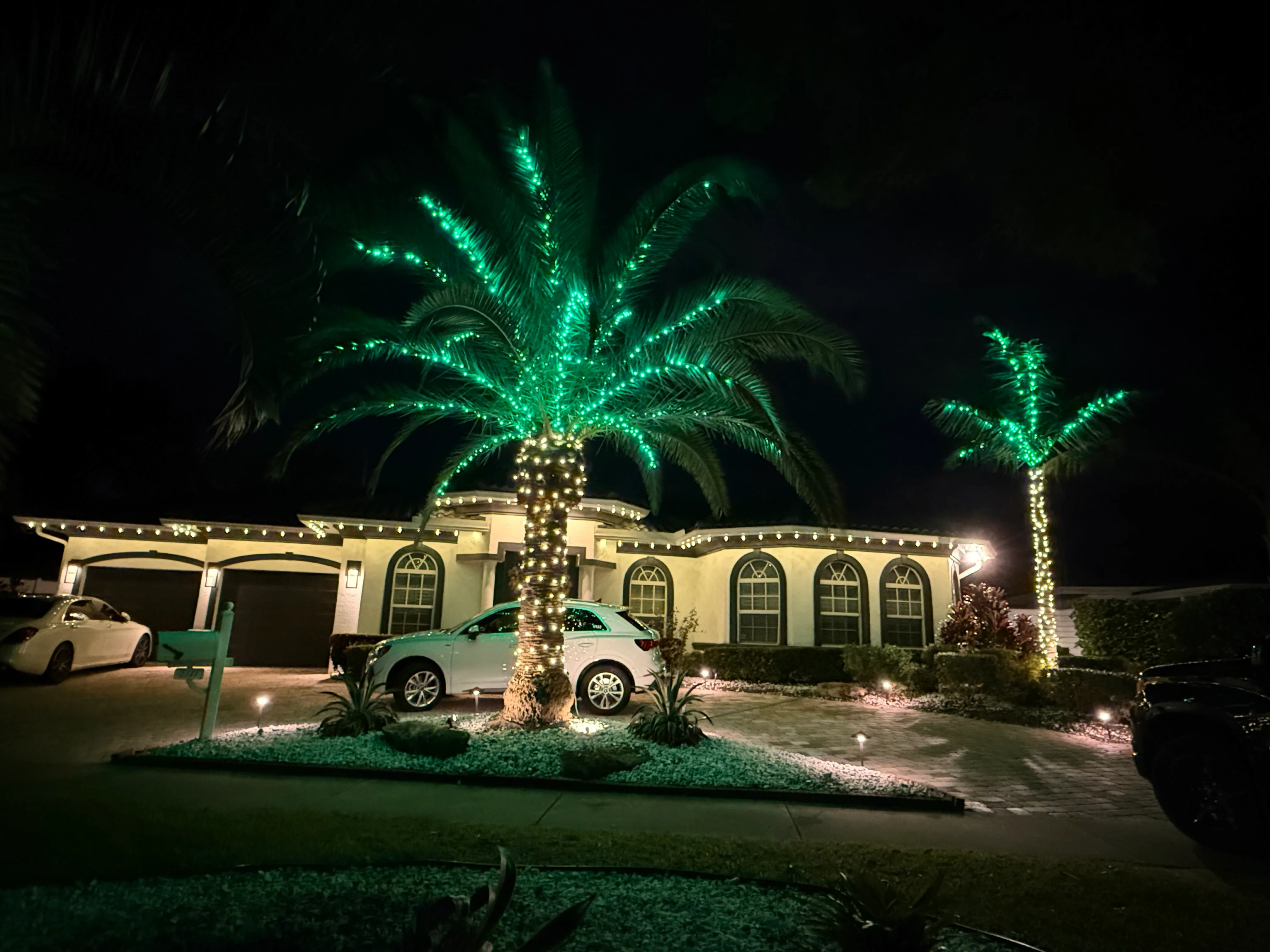 Dramatic green LED palm tree lighting with warm white roofline accents