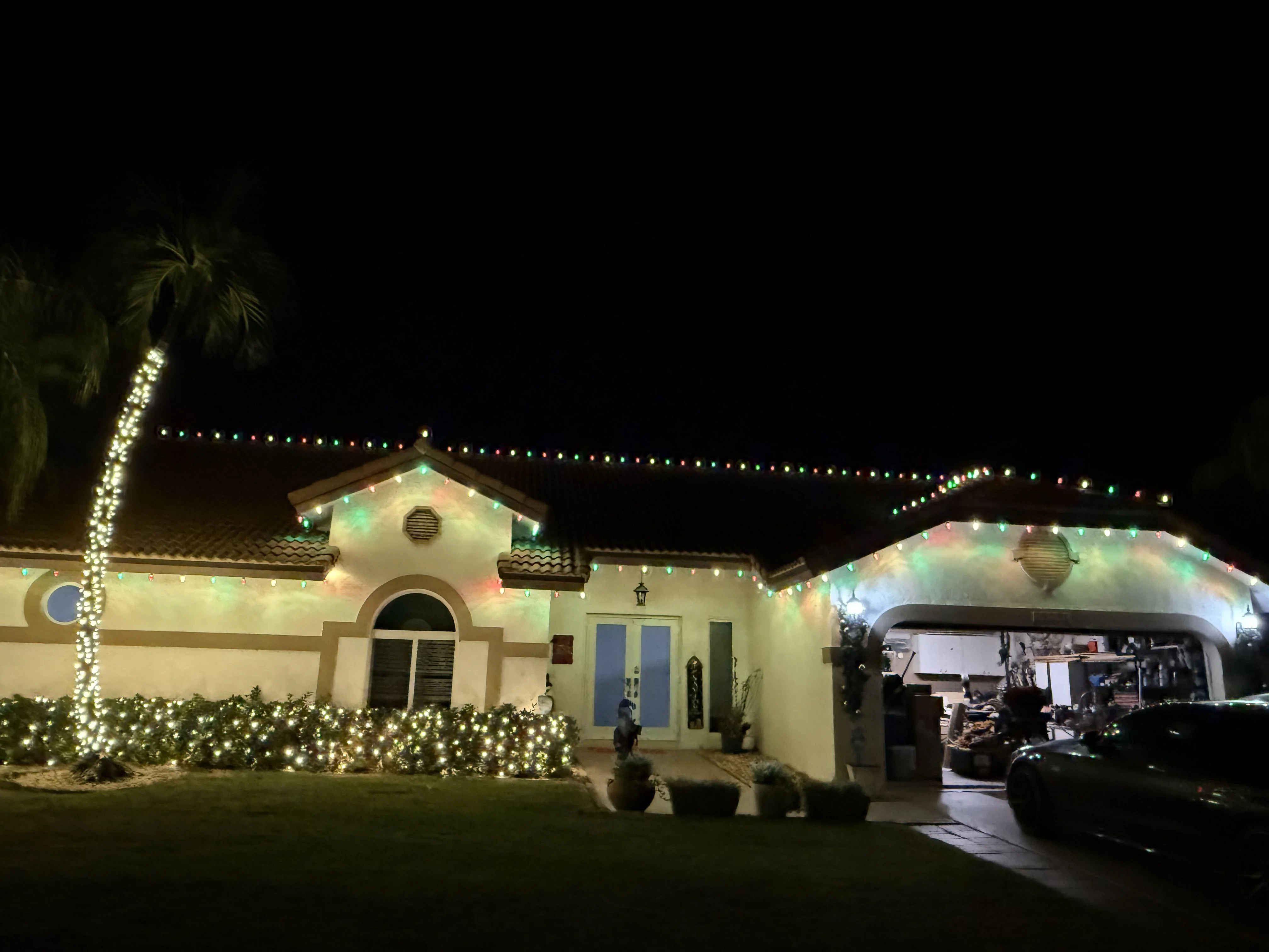 House with festive multicolor string lights on roofline and palm tree with warm white trunk lighting