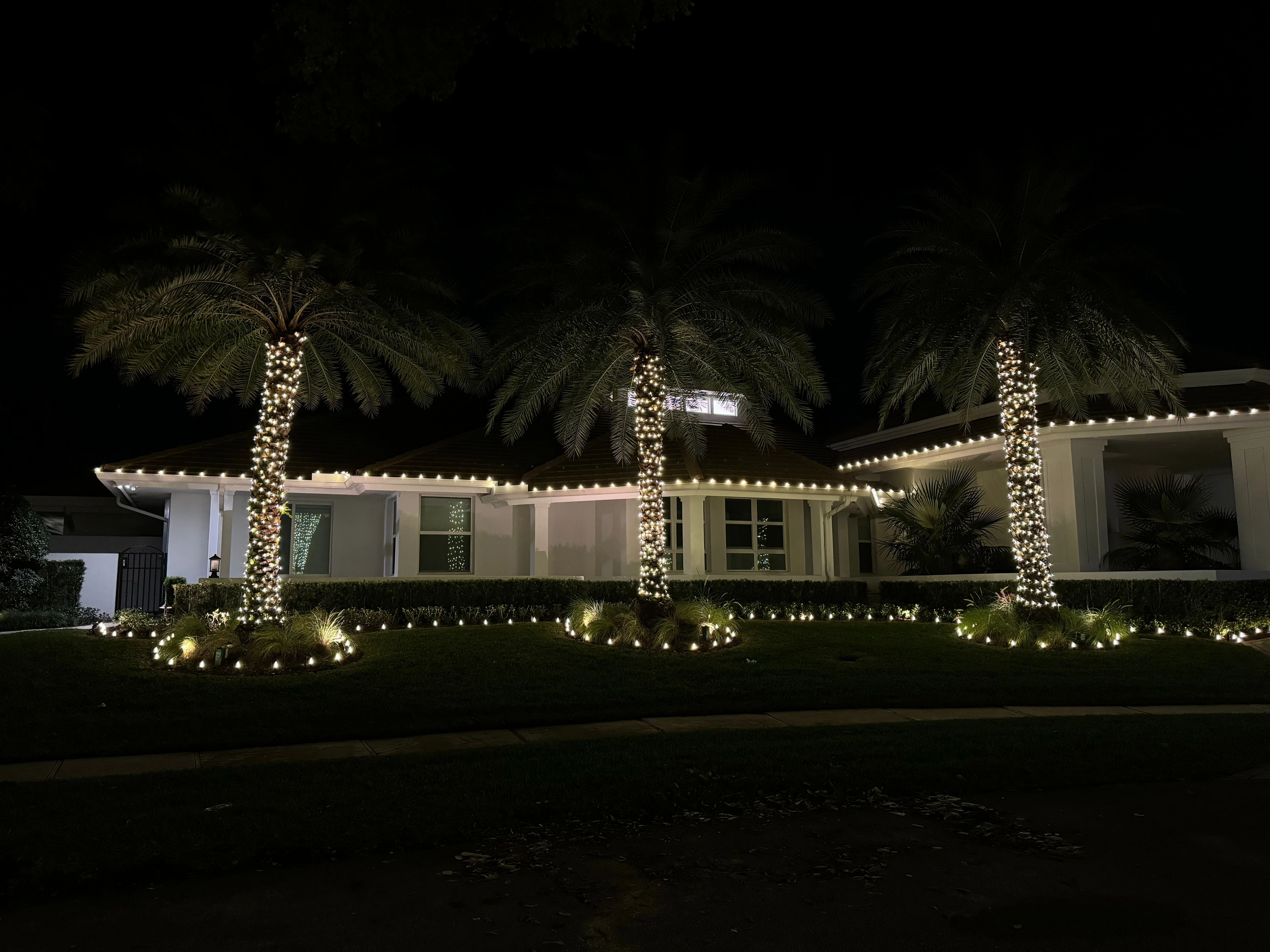 Modern house with beautifully lit palm trees and roofline accent lighting