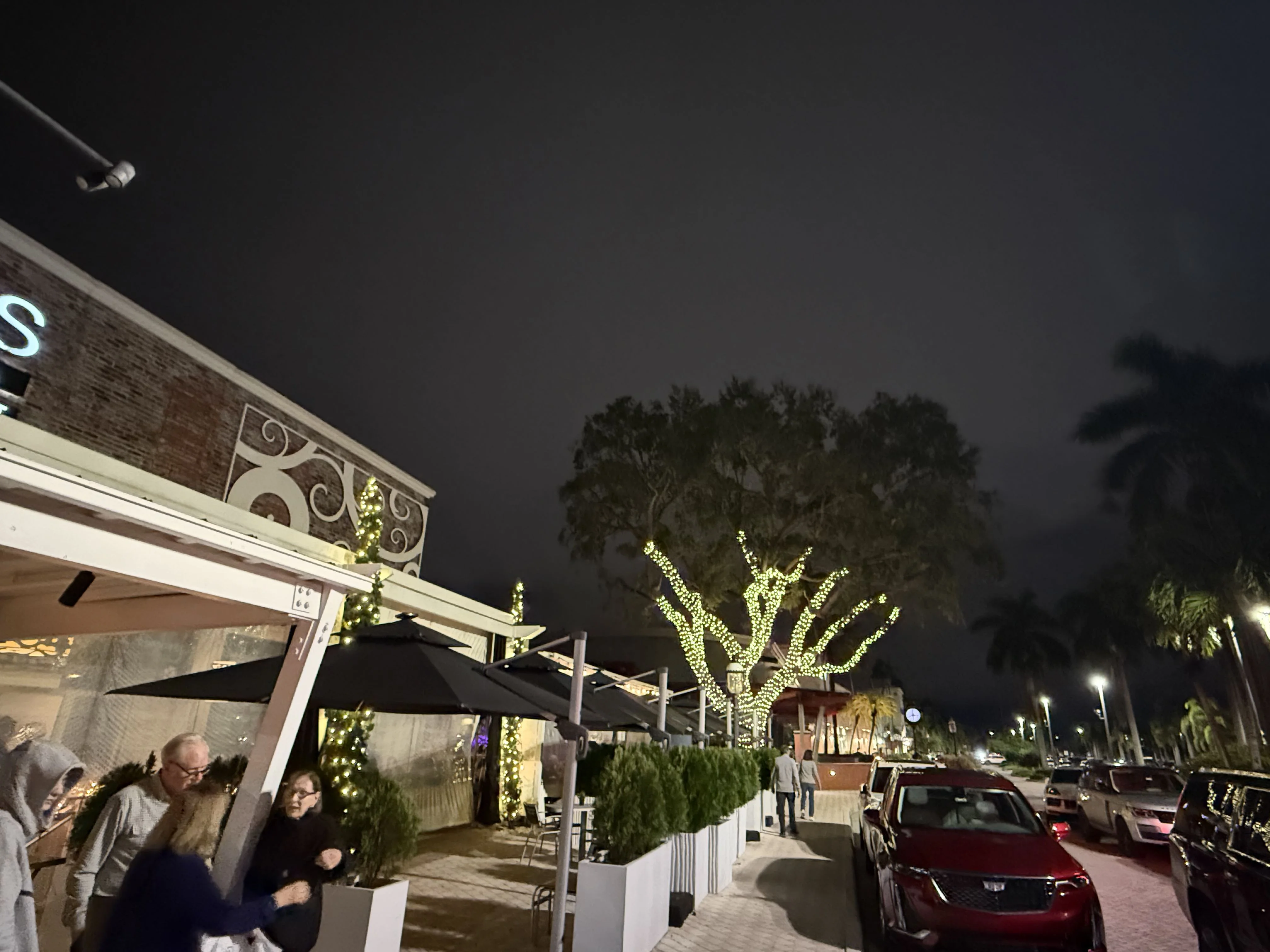 Commercial restaurant dining area with warm white tree lighting and outdoor seating ambiance