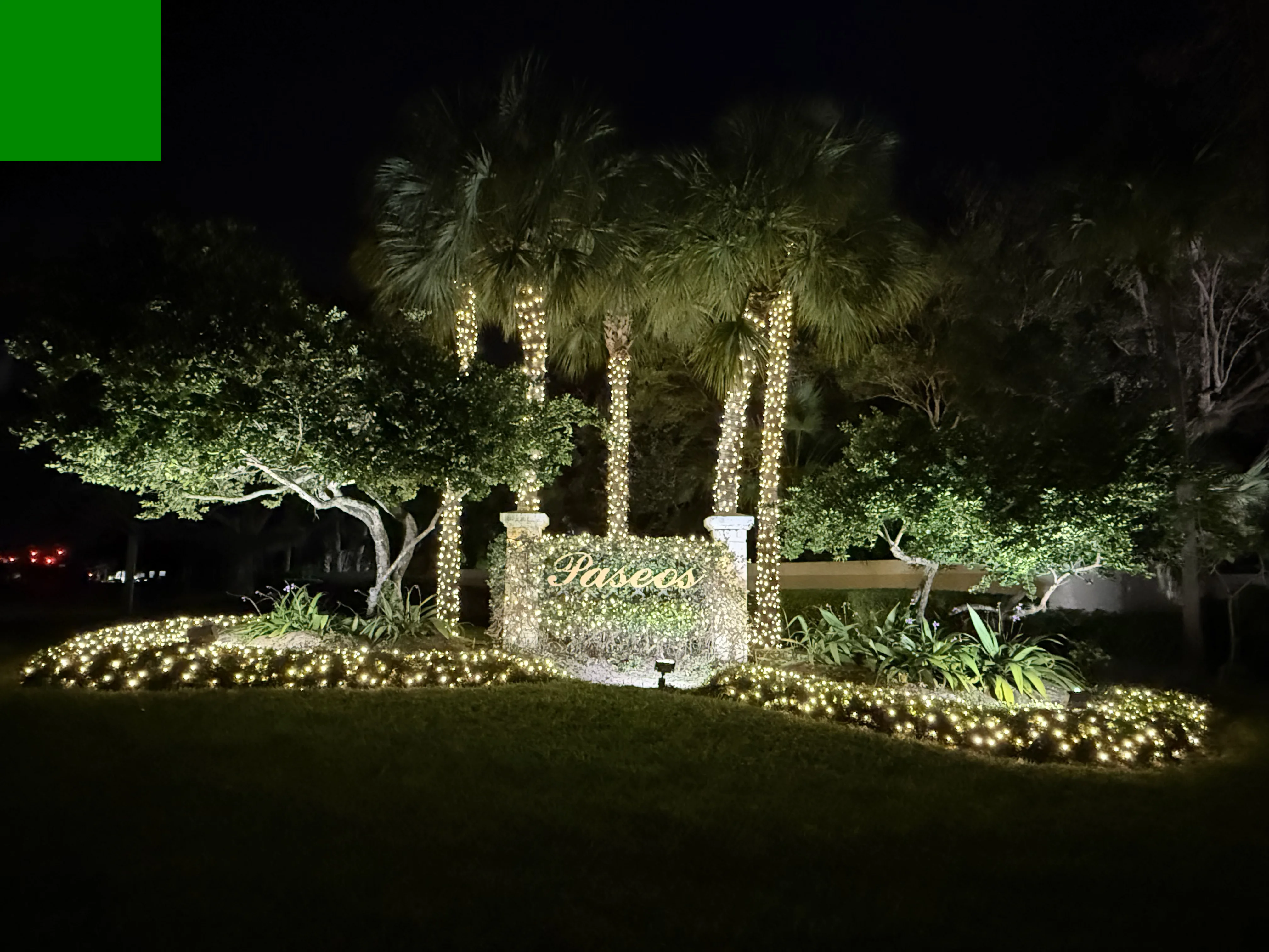 Riviera community entrance with professionally lit palm trees and landscaping