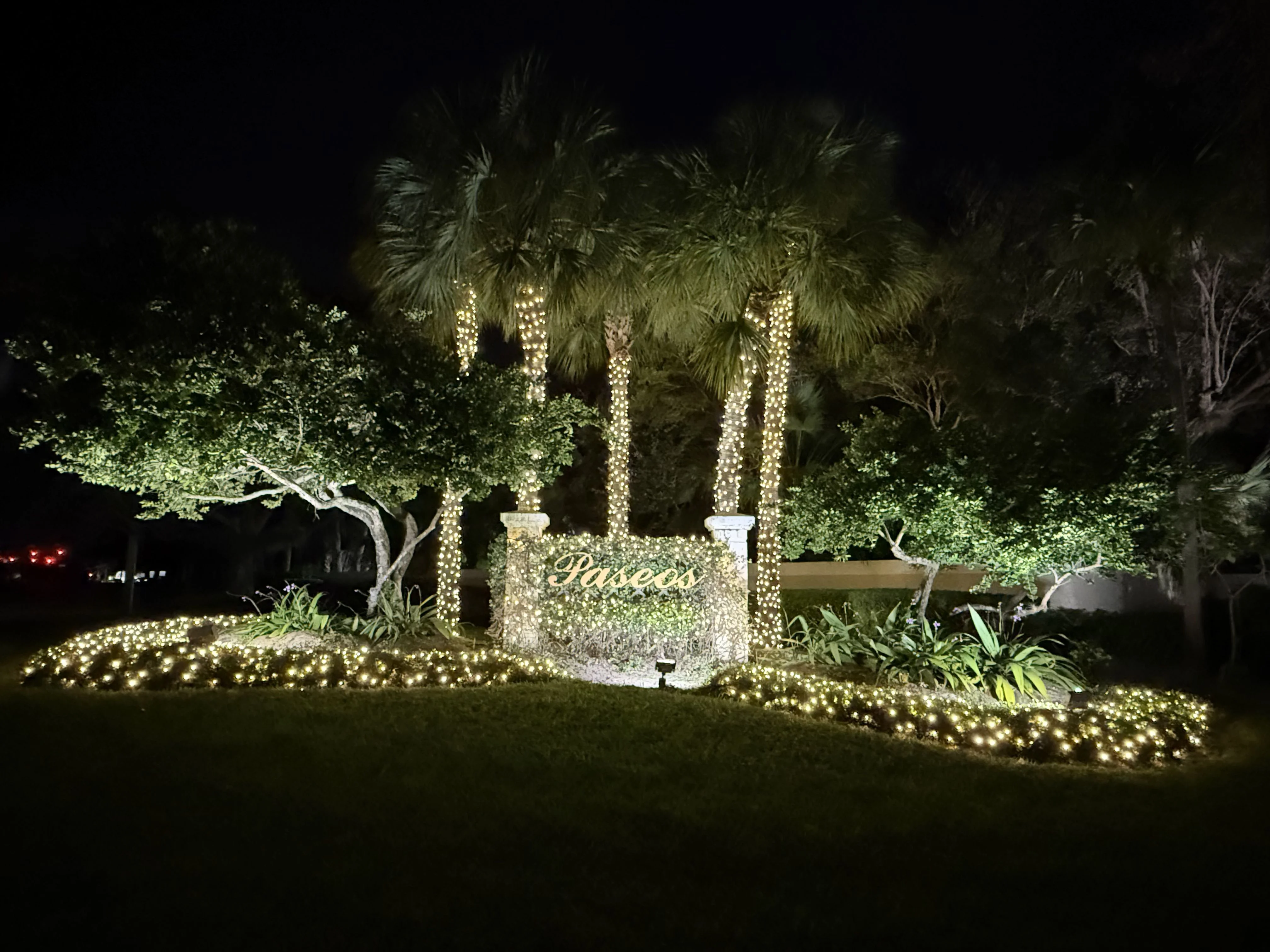 Another view of Riviera community entrance with palm trees wrapped in warm white lights