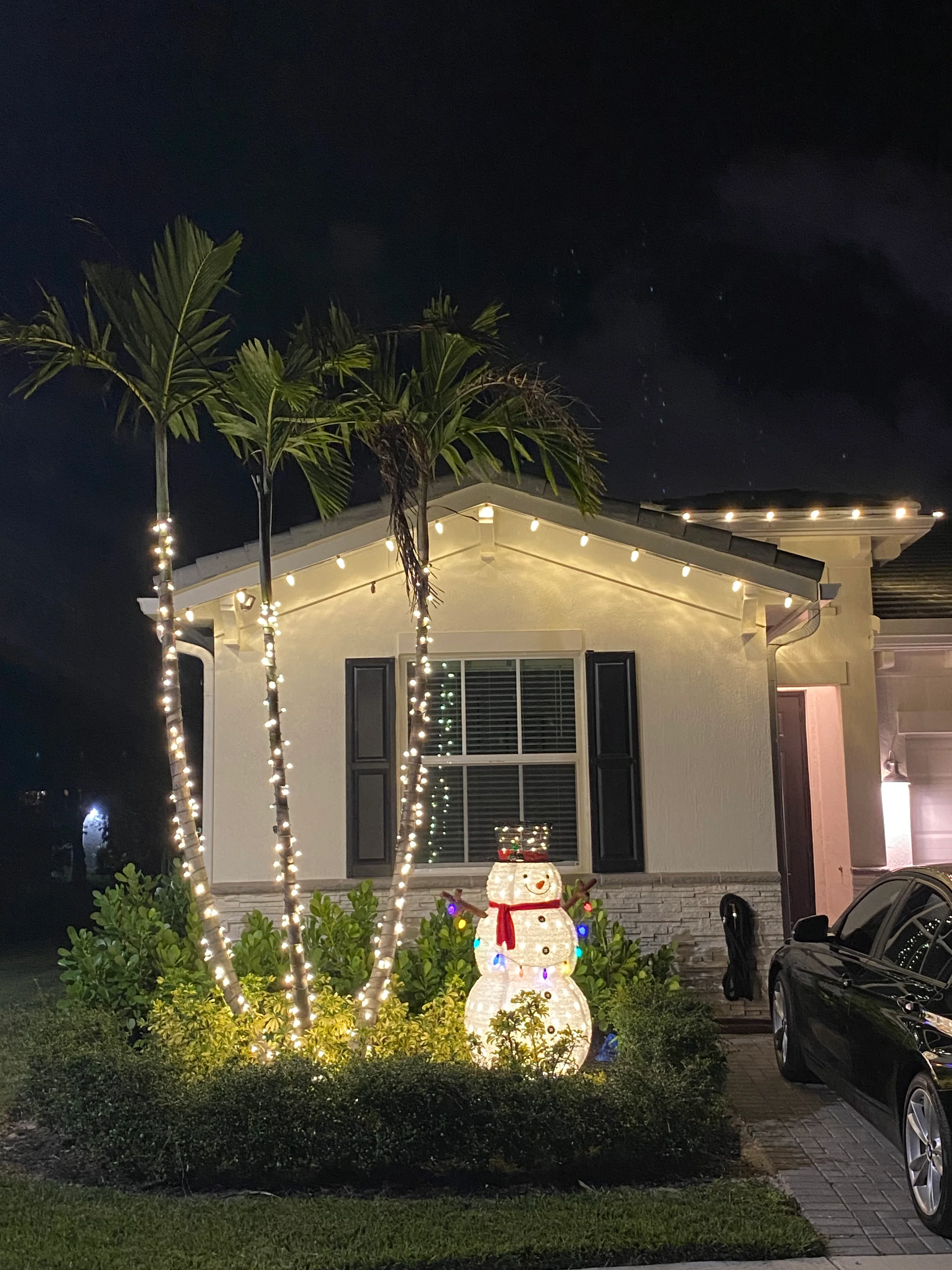 House with warm white roofline and palm tree lighting plus illuminated snowman yard decoration