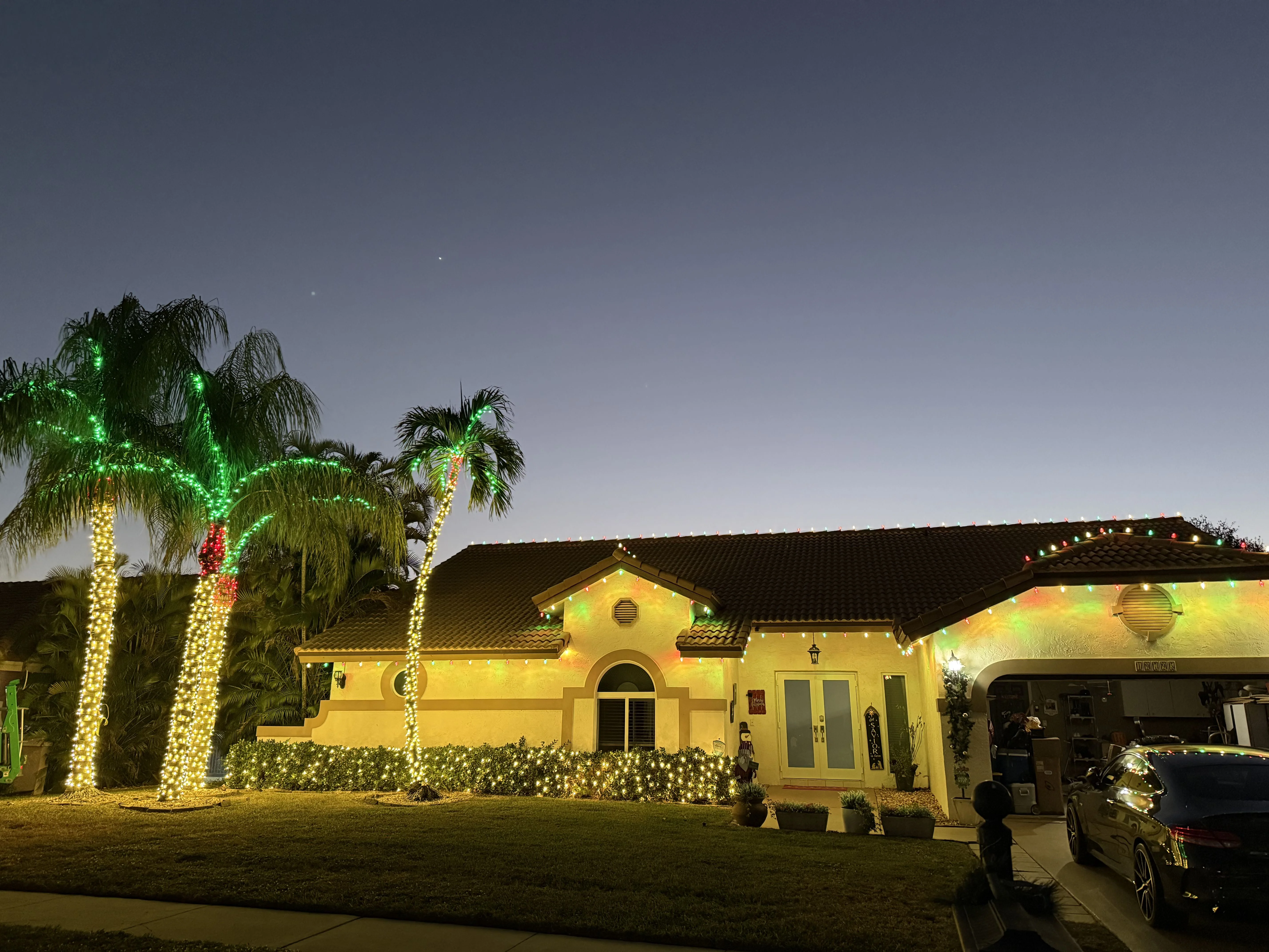 House at twilight with dramatic multicolor palm tree lighting in green, red, and warm white with roofline accents