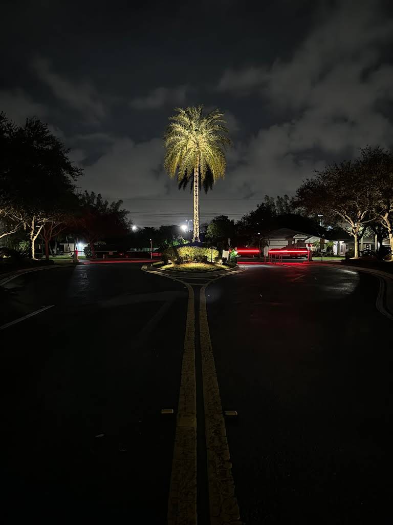Professional landscape lighting installation by S.F. Outdoor Lighting in Boca Raton