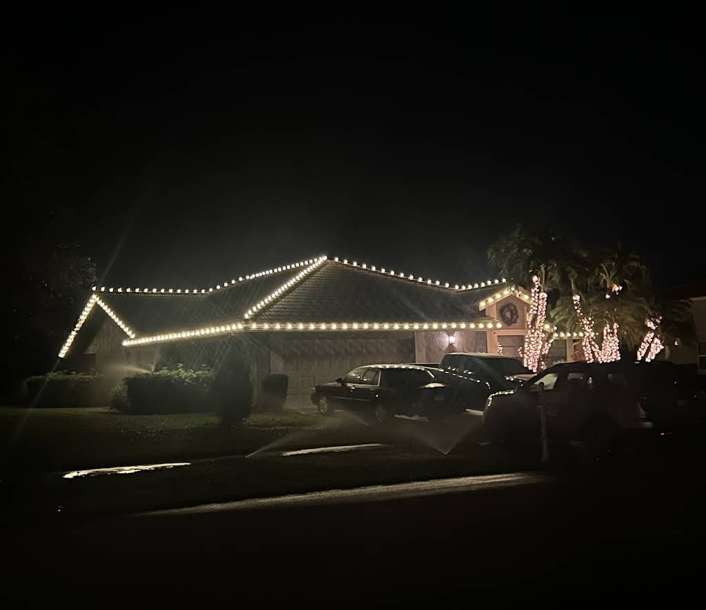 Professional landscape lighting highlighting water features and plantings