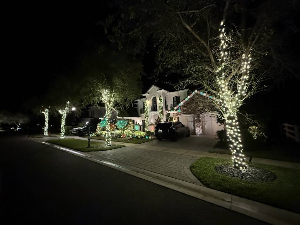 Professional landscape lighting installation by S.F. Outdoor Lighting in Boca Raton