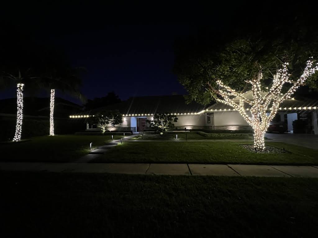 Professional landscape lighting installation by S.F. Outdoor Lighting in Boca Raton