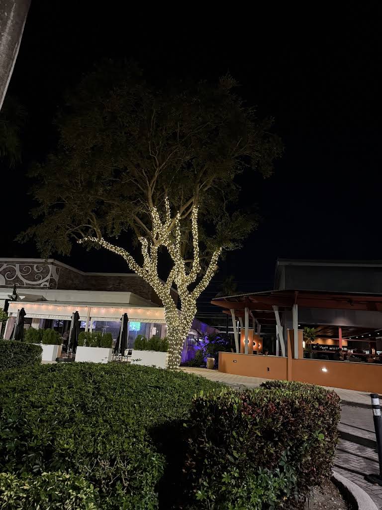 Professional landscape lighting installation by S.F. Outdoor Lighting in Boca Raton