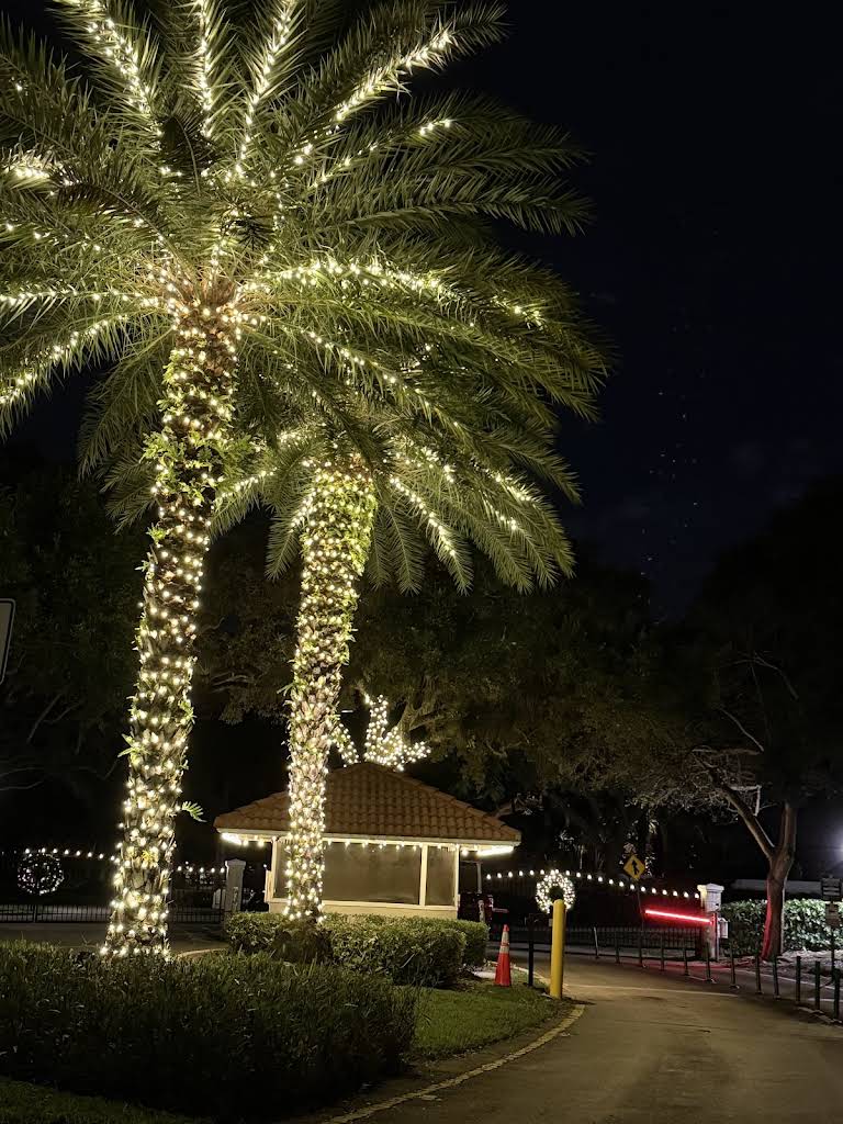 Professional landscape lighting installation by S.F. Outdoor Lighting in Boca Raton
