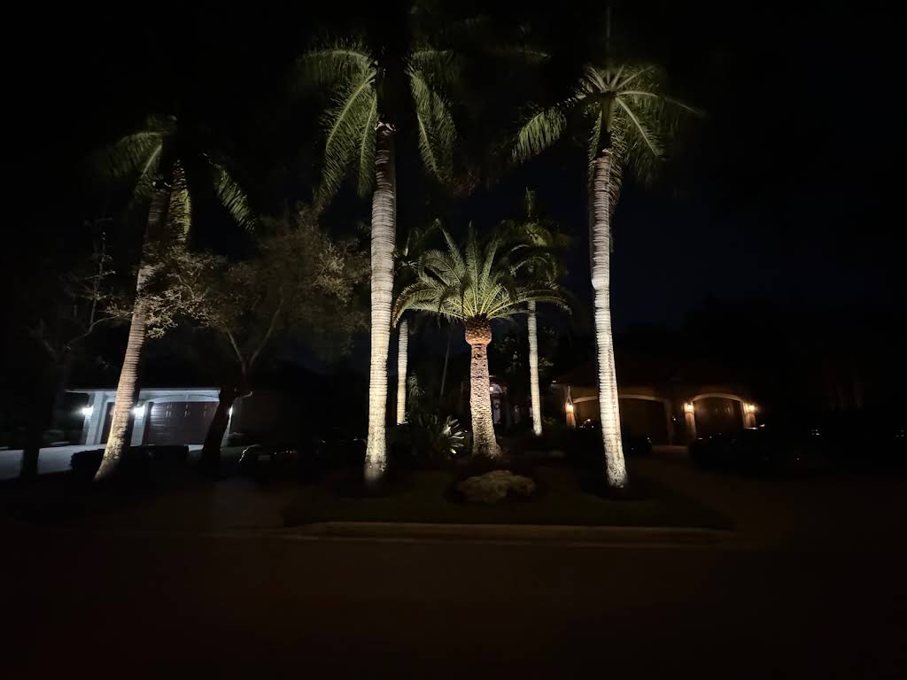 Landscape Lighting service by S.F. Outdoor Lighting in Boca Raton Florida