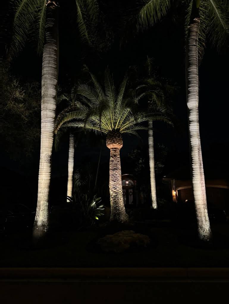 Professional landscape lighting installation by S.F. Outdoor Lighting in Boca Raton