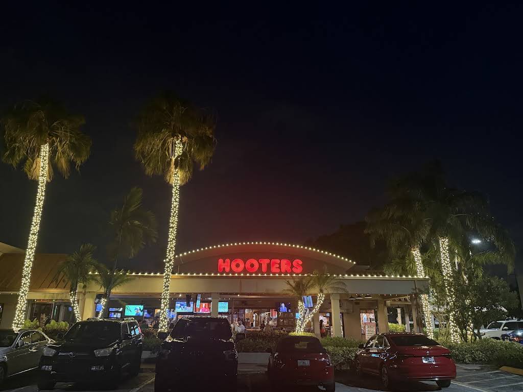 Professional outdoor lighting installation
