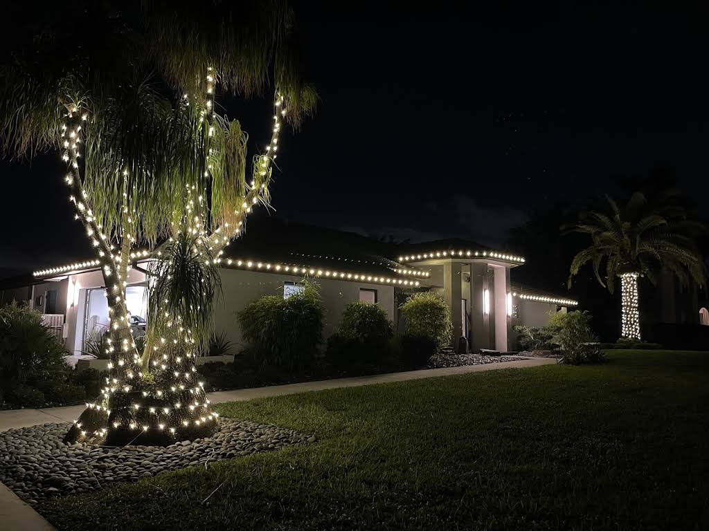 Single-story home with palm tree lighting and elegant roofline accents